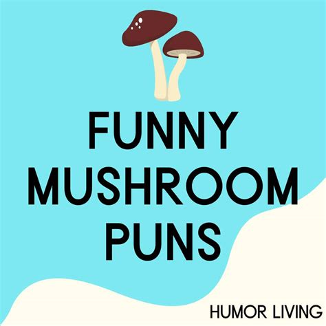 mushrooms fun guys