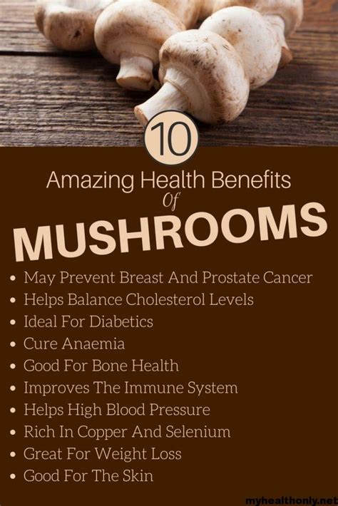 mushrooms and gut health
