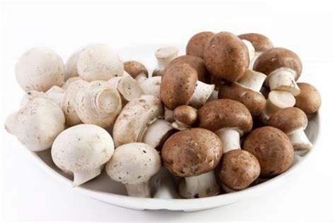 mushrooms for joint pain