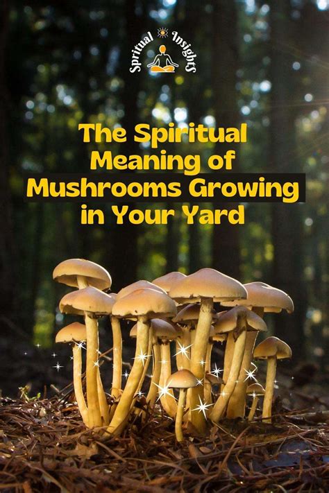 Mushrooms Growing Meaning