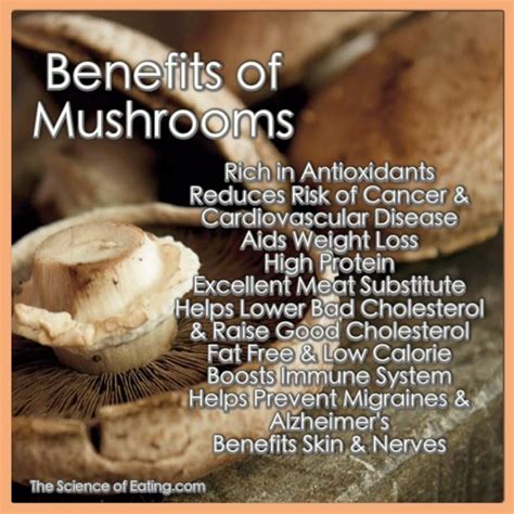mushrooms gut health website