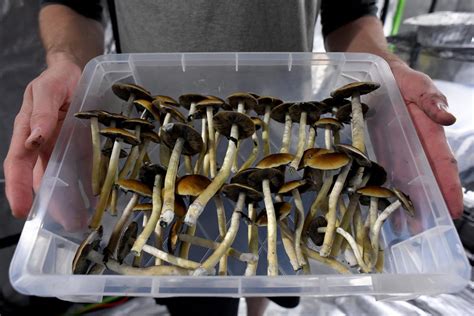 mushrooms legal in oregon