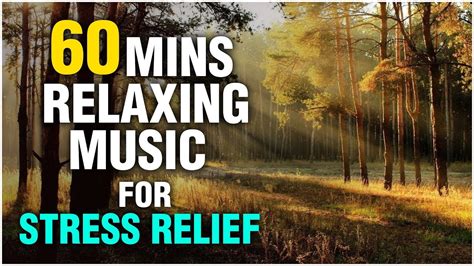 Mendengarkan Musik untuk Mengurangi Stres