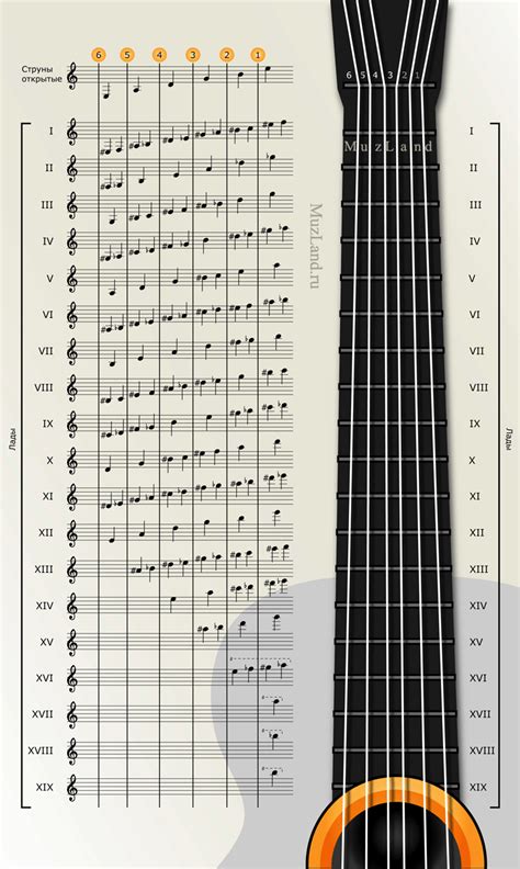 Music Notes Chart Guitar