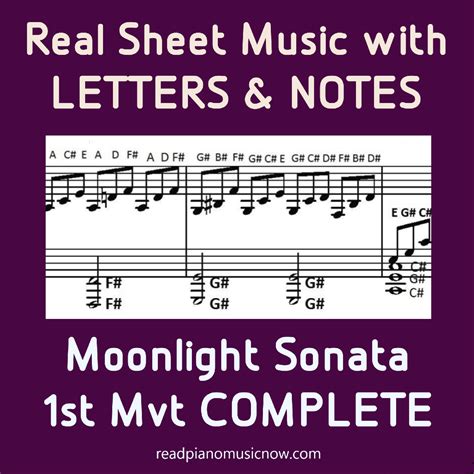 Music Sheet Items