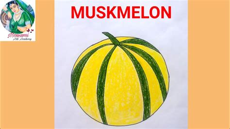 Musk Melon Drawing