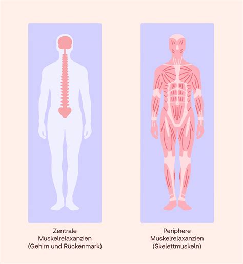 Muskelrelaxanzien bei der Osteochondrose der Halswirbelsäule