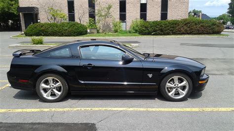 mustang for sale canada