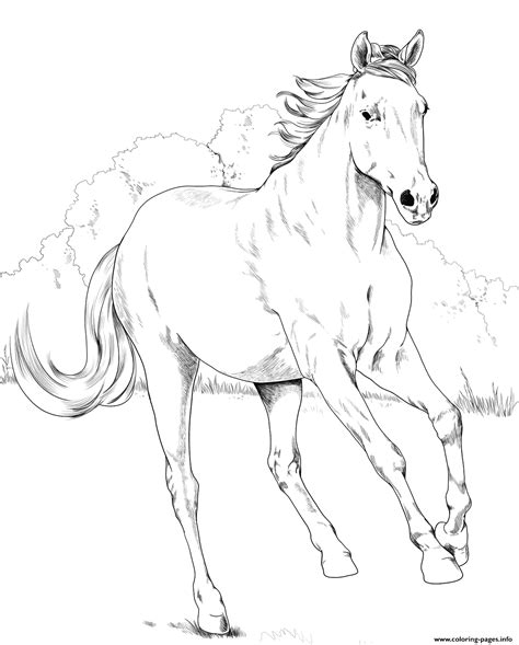 mustang horse coloring page