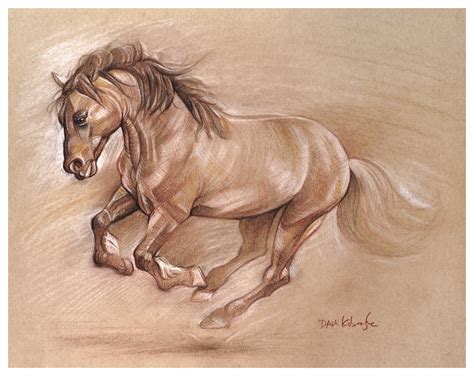 mustang horse drawings