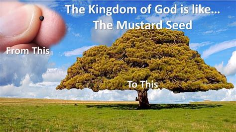 Parable Painting of the Mustard Seed Bible Art