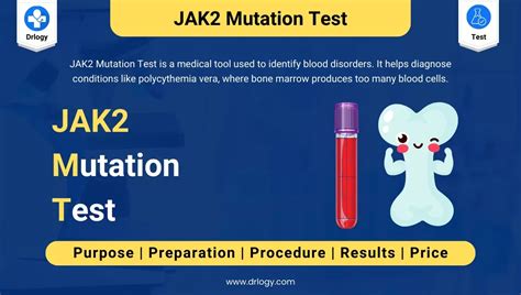 Mutations of JAK2 in acute lymphoblastic leukaemias associated with Down