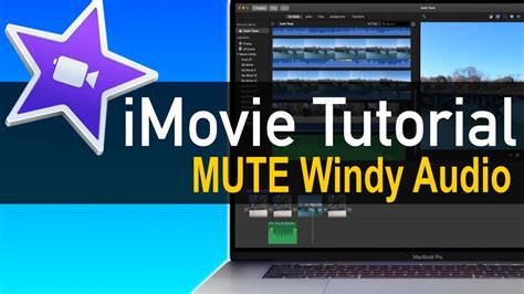 Mute Sound iMovie