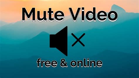 Mute the Video