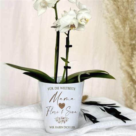 DIY Geschenk Kakteentopfmalerei zum Muttertag Blumentopf design