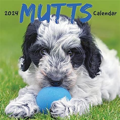 Mutts Calendar 2024