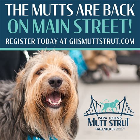 Mutts On Main Street
