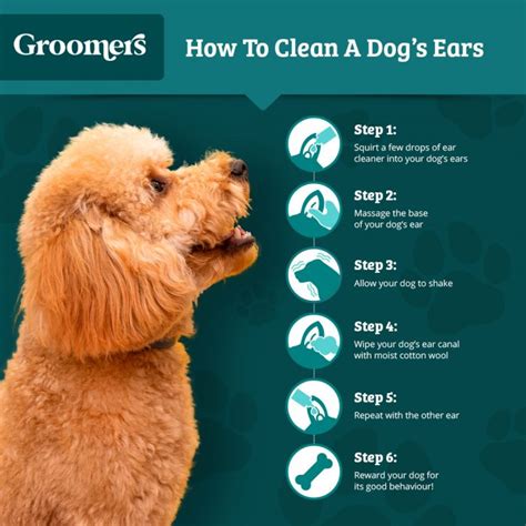 Muzzle Dog To Clean Ears