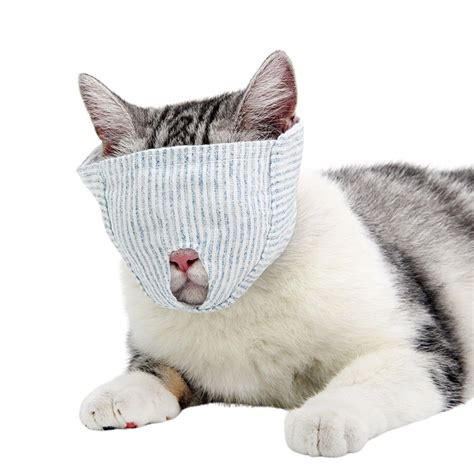 muzzles for cats