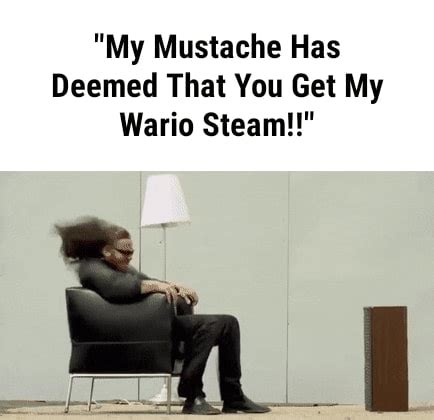 MY MUSTACHE HAS DEEMED THAT YOU GET MY WARIO STEAM!!! r/4chan