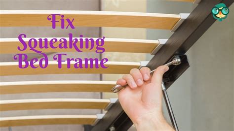 My Bed Squeaks Too Much