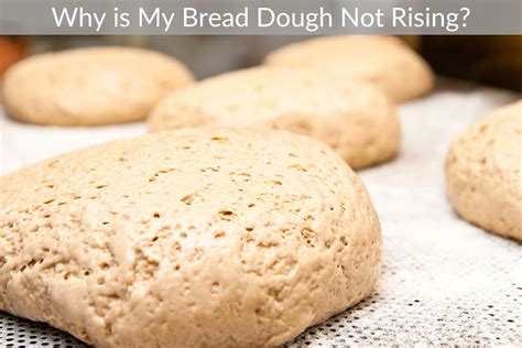 My Bread Dough Not Rising