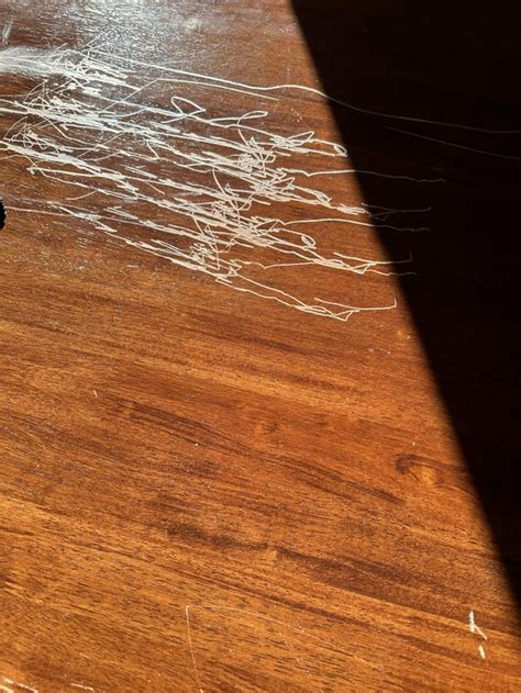 My Dining Table Is Scratched