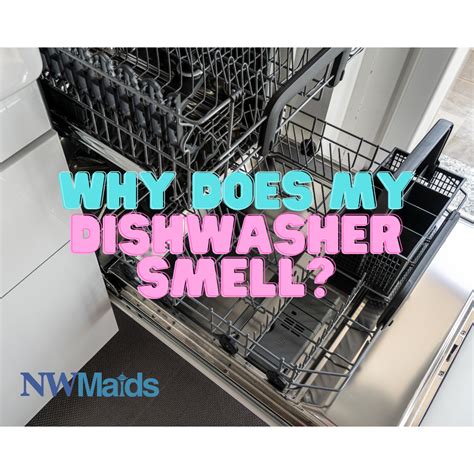 my dishwasher