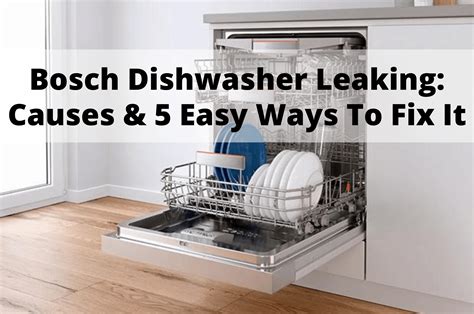 My Dishwasher Keeps Leaking