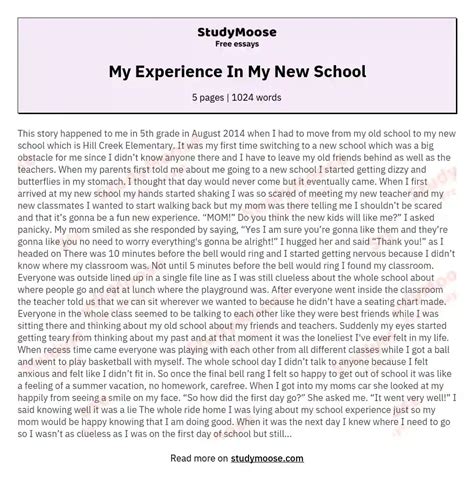 My Experience With Online School Essay