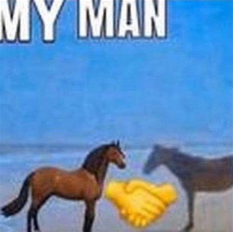 my man horse meme
