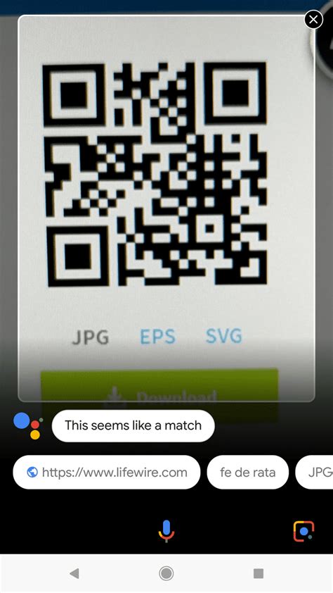 my mobile qr code