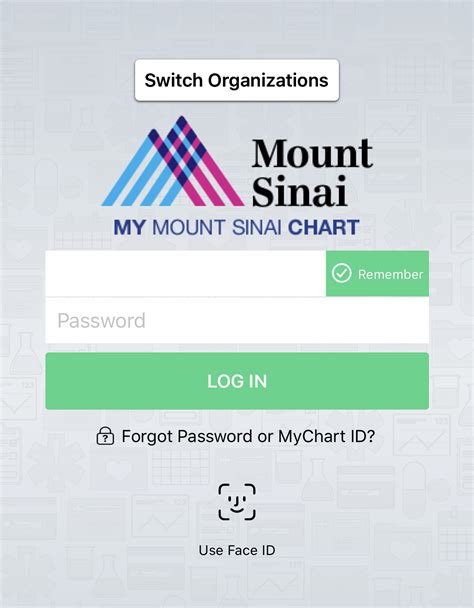 my mt sinai log in