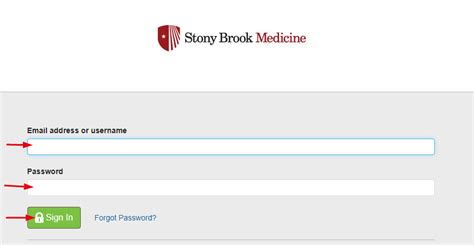 myhealthelife patient portal stony brook