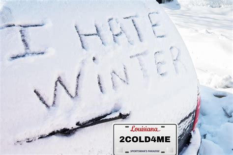 mylf stephen hates winter