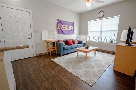 Discover the World of Knowledge with Mylsua: Your Gateway to Learning