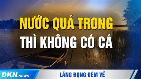 nước trong thì không có cá