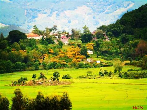 nội thất di linh lâm đồng