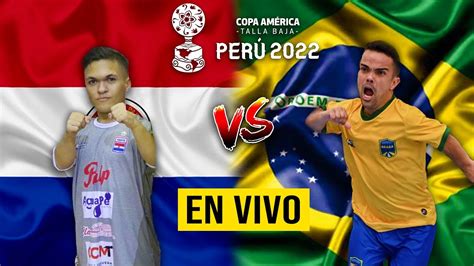 n en vivo paraguay vs brasil