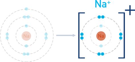 na ionic charge