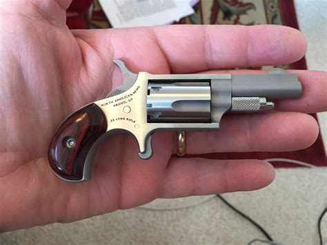 naa 22 lr revolver