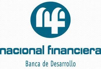 nacional financiera banca de desarrollo