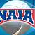 naia all american volleyball