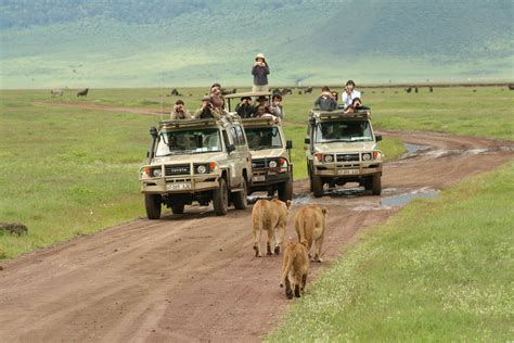Serengeti National Park Kenya Randu Safaris