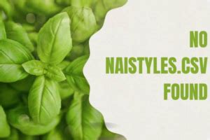 naistyles.csv missing