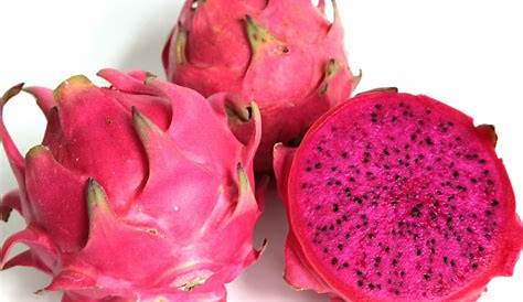 bibit buah unggul on Instagram: “buah nangka. Aroma yang khas membuat