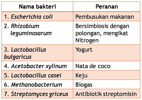 nama bakteri pada keju