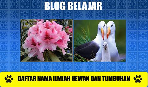 Cara Penulisan Nama Ilmiah Padi Yang Benar Adalah