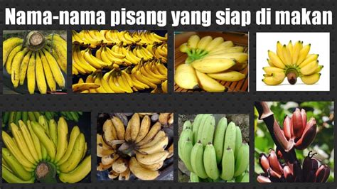 pisang uli