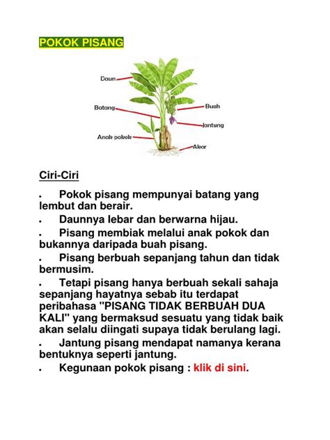 nama saintifik pokok tin